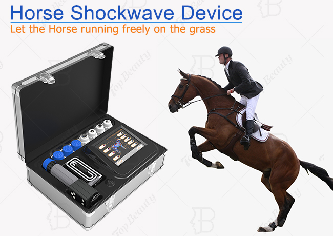 ショックウェーブ馬療法ペットヘルスケア ショックウェーブ動物ヘルスケア製品マシン