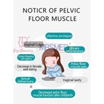 骨盤底筋クッション チェア治療 骨盤底修復 EMS 骨盤底チェア