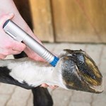 ショックウェーブ馬療法ペットヘルスケア ショックウェーブ動物ヘルスケア製品マシン